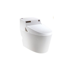 Toilette automatique élégante de toilette futée électrique de fabrication d&#39;usine avec le robinet de bidet